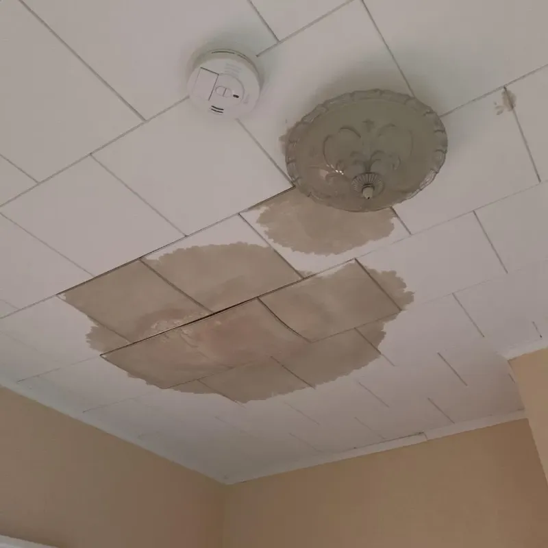 Ceiling Water Damage Repair in Emporia, KS