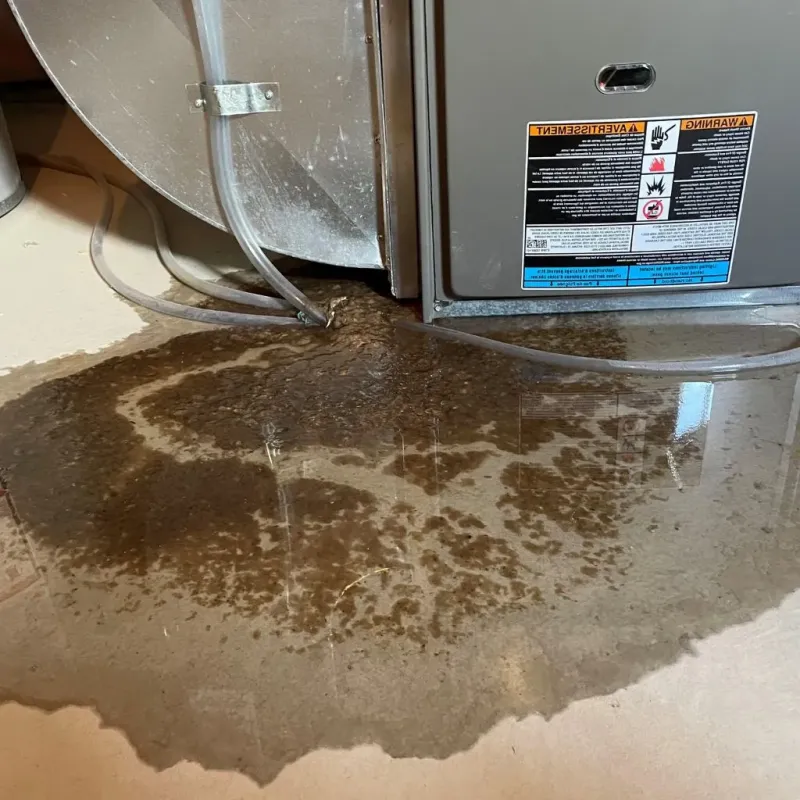 Pipe Burst and Leak Restoration in Emporia, KS