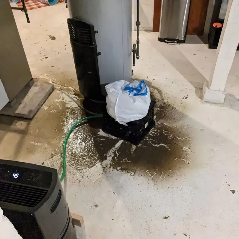 Sewage Backup Cleanup Service in Emporia, KS